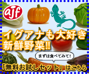 野菜の広告